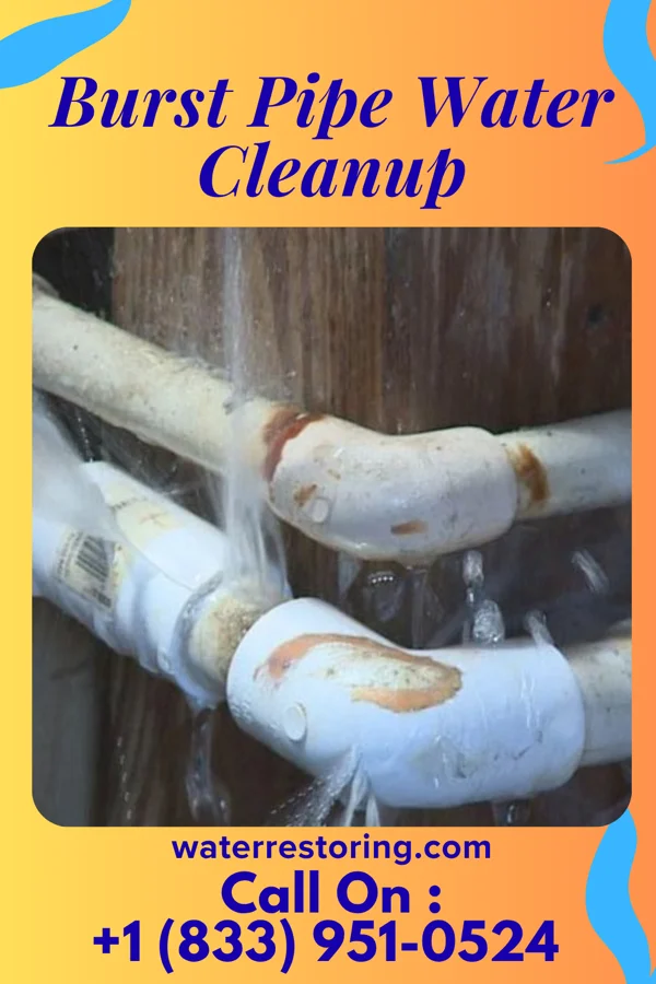 Burst Pipe Water Cleanup in Pymatuning Central, PA