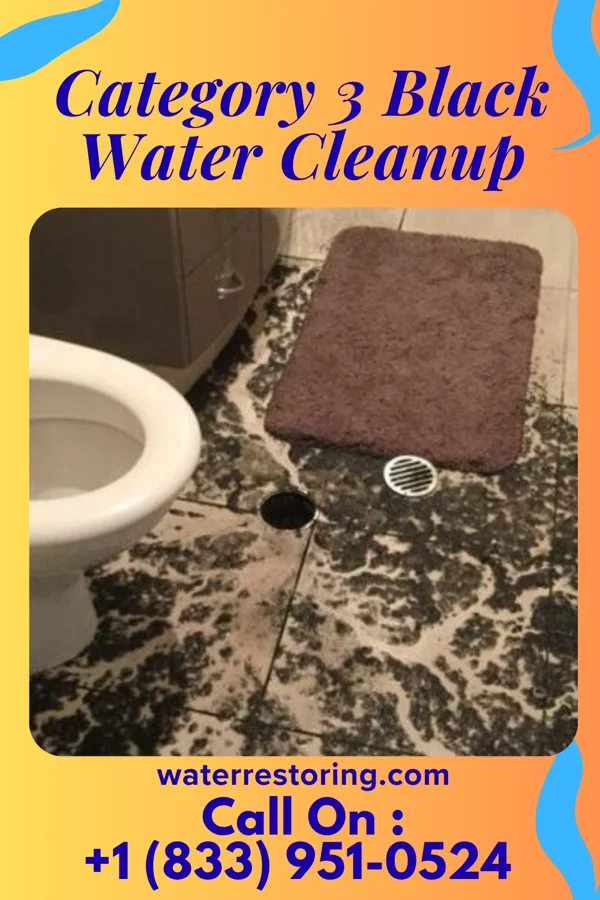 Category 3 Black Water Cleanup in Pymatuning Central, PA