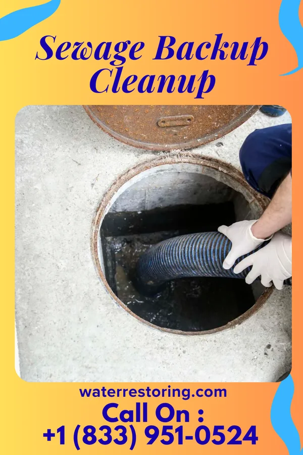 Sewage Backup Cleanup in Pymatuning Central, PA